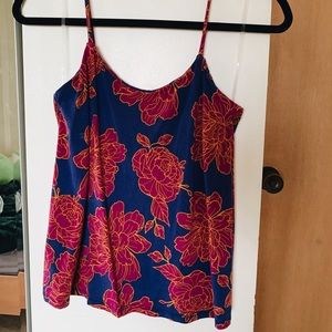 Fighting eel tank fibi